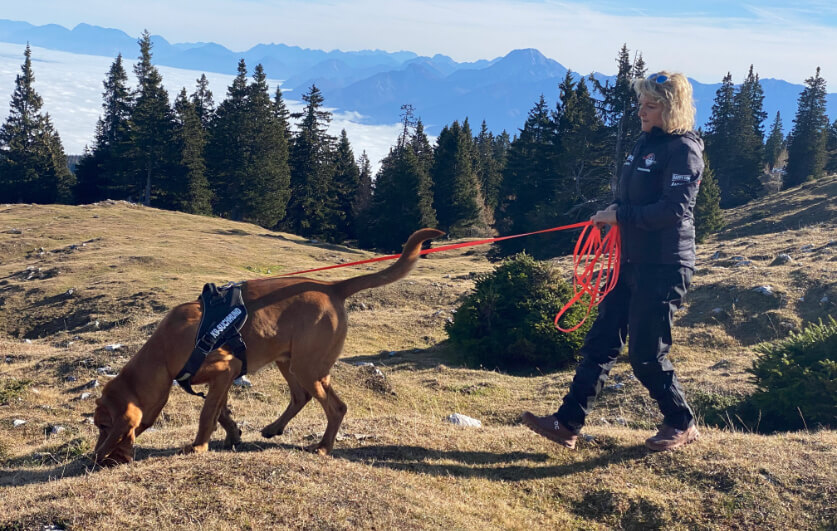 k9 suchhunde header 2