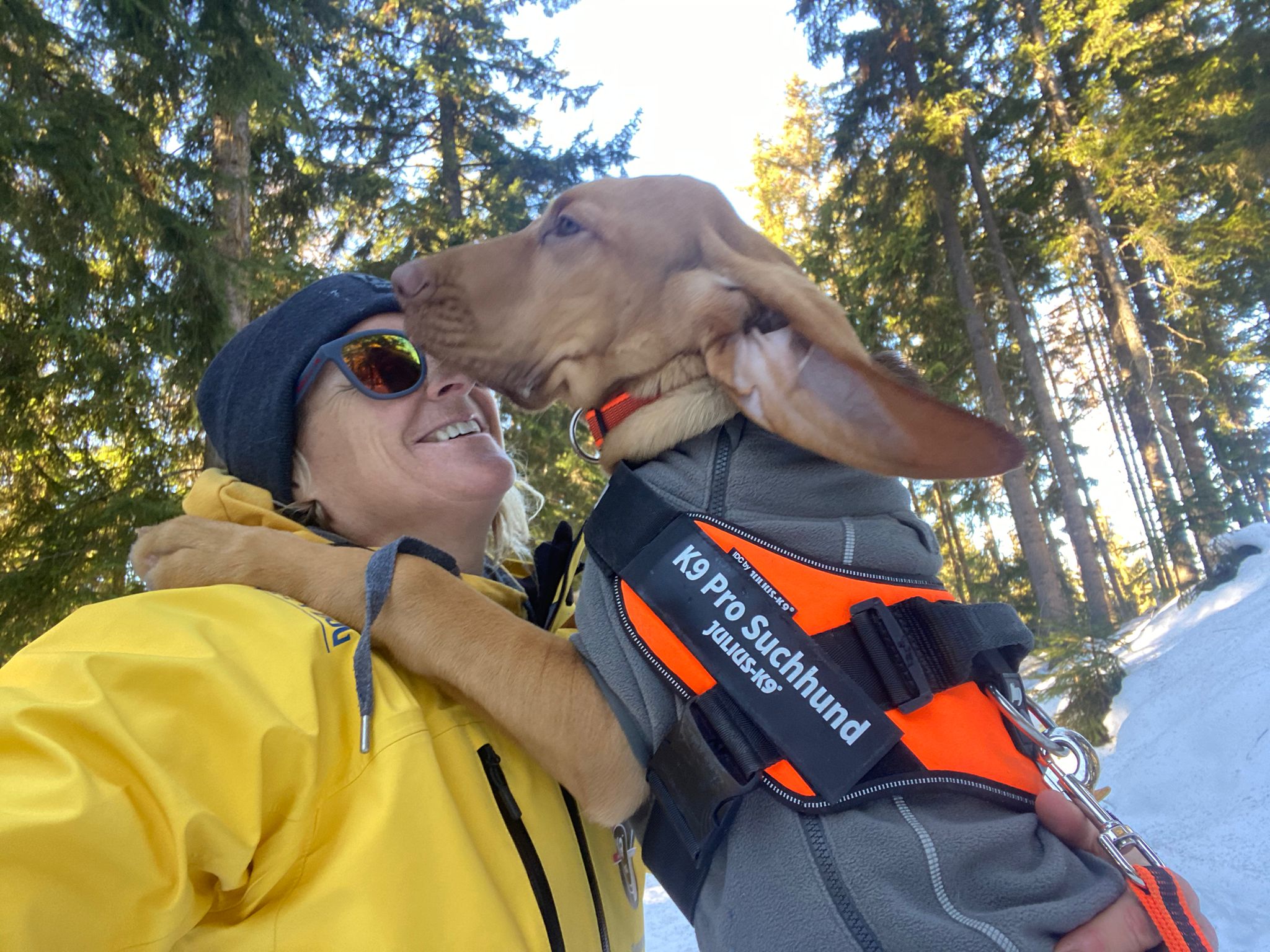 Mantrailing Beginner K9 Suchhund Ausbildung