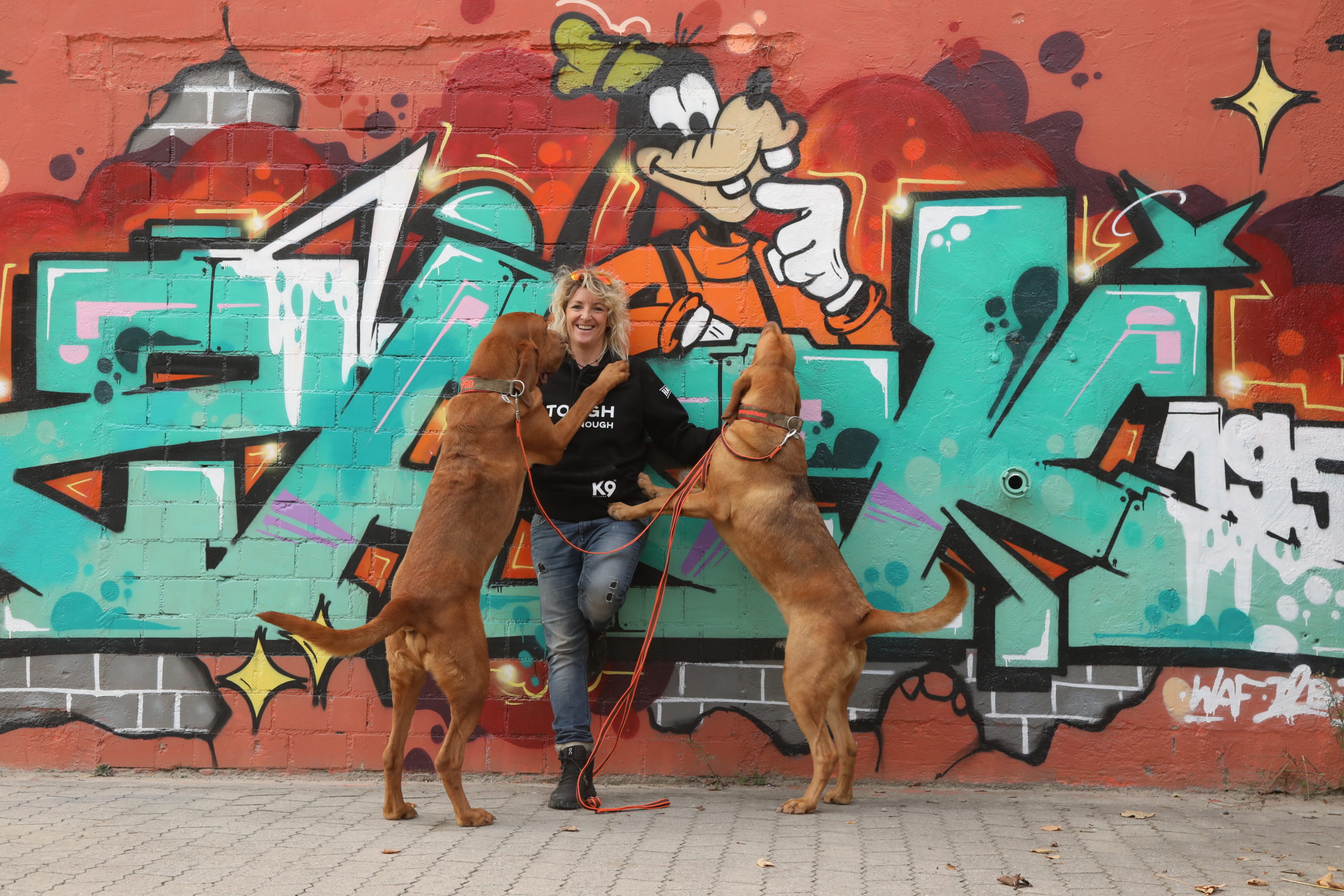 K9 Mental Coaching hilft dir beim Mantrailing & Pettrailing dich zu fokussieren und das Beste aus dir und deinem Suchhund herauszuholen
